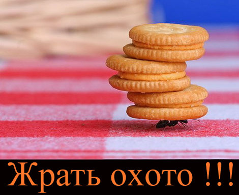  (470x383, 39Kb)