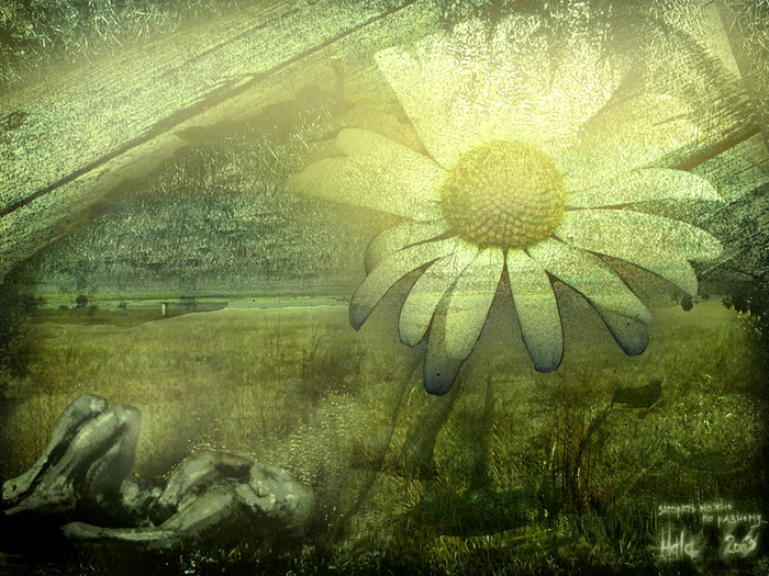  (700x525, 195Kb)