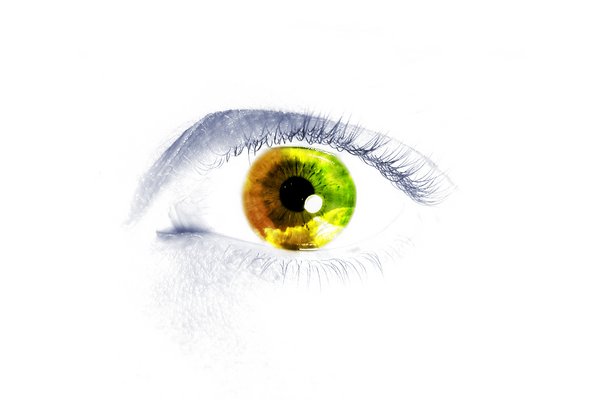  (600x400, 16Kb)