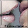  (100x100, 24Kb)