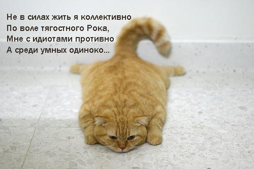  (500x333, 57Kb)