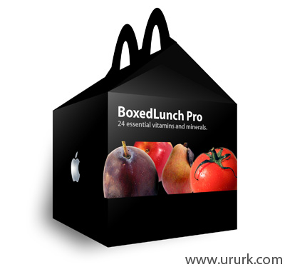BoxedLunch_Pro (400x374, 25Kb)
