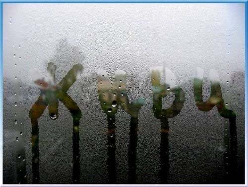  (500x377, 43Kb)
