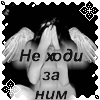     (100x100, 19Kb)