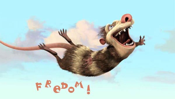 12211736_10998826_Svoboda (600x338, 84Kb)