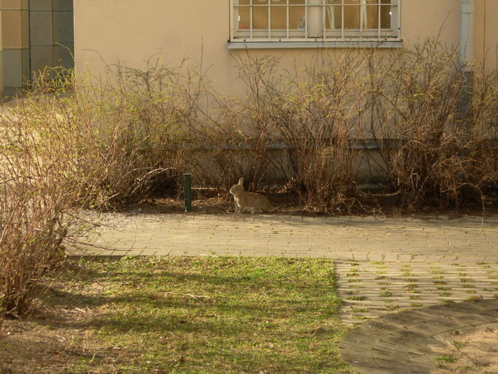  (700x525, 154Kb)