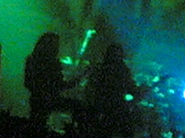  (640x480, 73Kb)