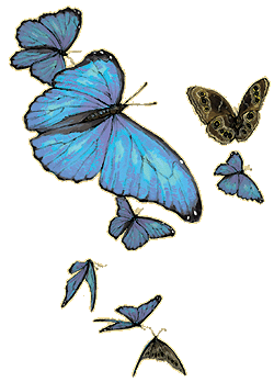 post-12-1166259380 (250x348, 28Kb)