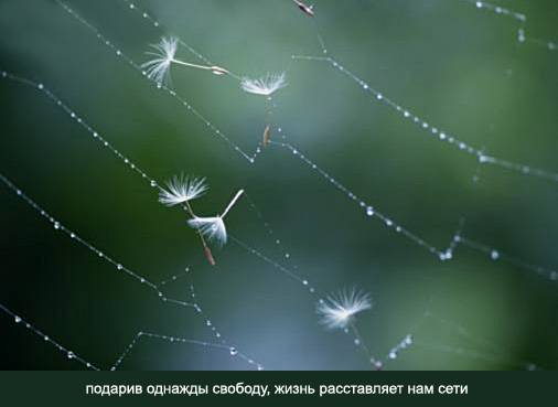 kreatiff_39 (506x369, 14Kb)