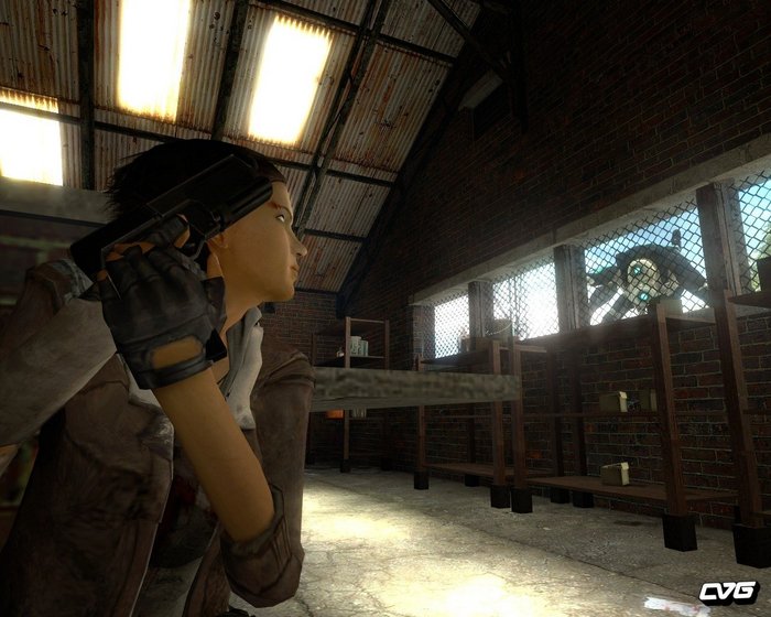 hl2 (700x560, 75Kb)