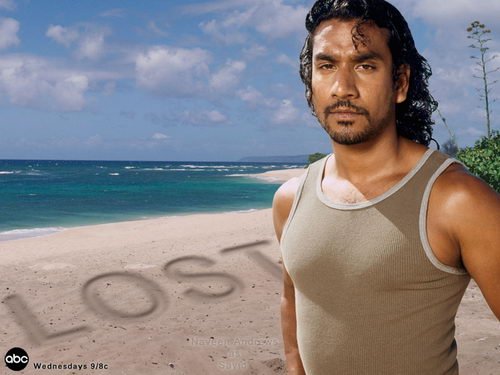  (500x375, 34Kb)