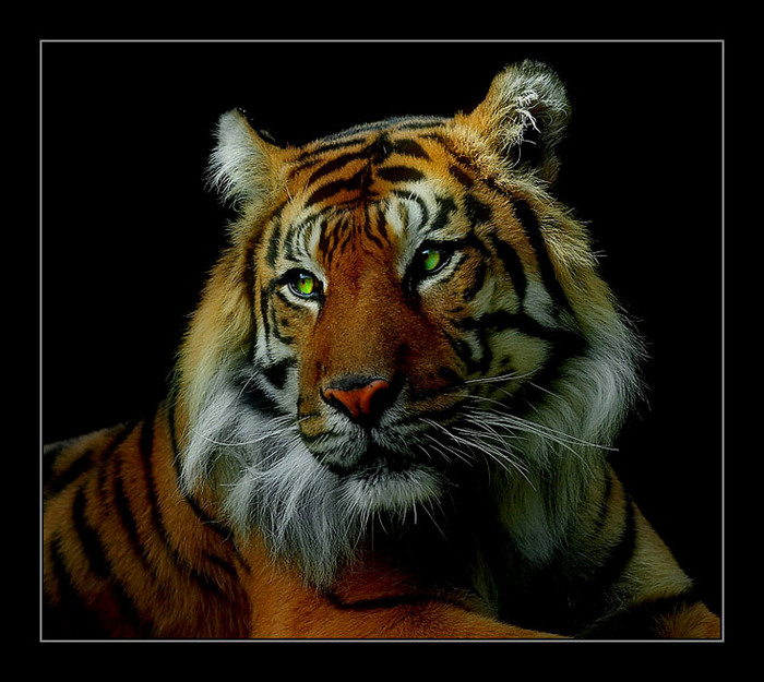  (700x625, 121Kb)