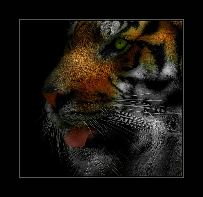  (700x679, 99Kb)