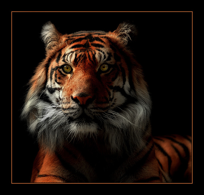  (700x671, 151Kb)