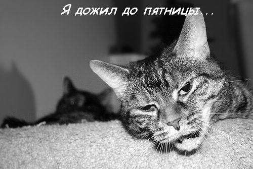  (500x335, 33Kb)