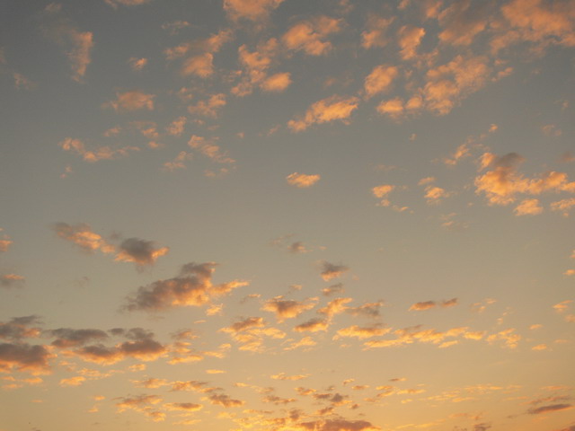  (640x480, 61Kb)
