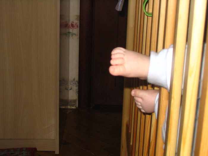 IMG_0516 (700x525, 81Kb)