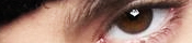  (175x40, 15Kb)