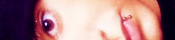  (175x40, 15Kb)