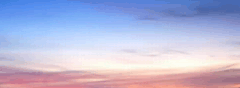 14124823 (240x88, 8Kb)