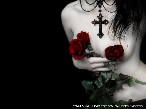  (500x375, 16Kb)