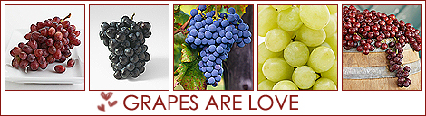 18197032_GRAPES (470x129, 124Kb)