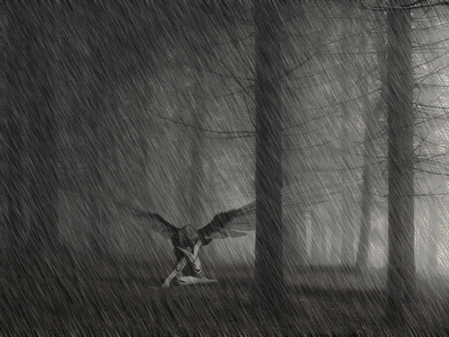 ed5d4ffd2fd7 (500x375, 314Kb)