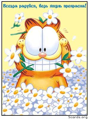 ���� (300x400, 27Kb)