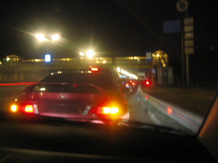 IMG_1211 (700x525, 96Kb)