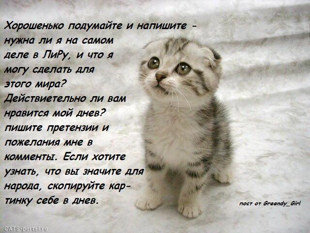  (640x480, 82Kb)