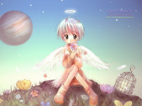  (500x375, 44Kb)