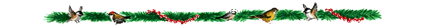  (600x40, 5Kb)