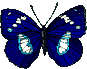  (87x69, 11Kb)