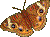  (50x37, 1Kb)