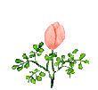  (110x101, 14Kb)