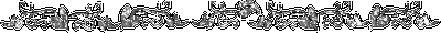  (400x30, 3Kb)