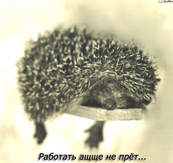  (600x567, 65Kb)