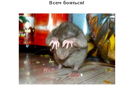  (470x311, 20Kb)