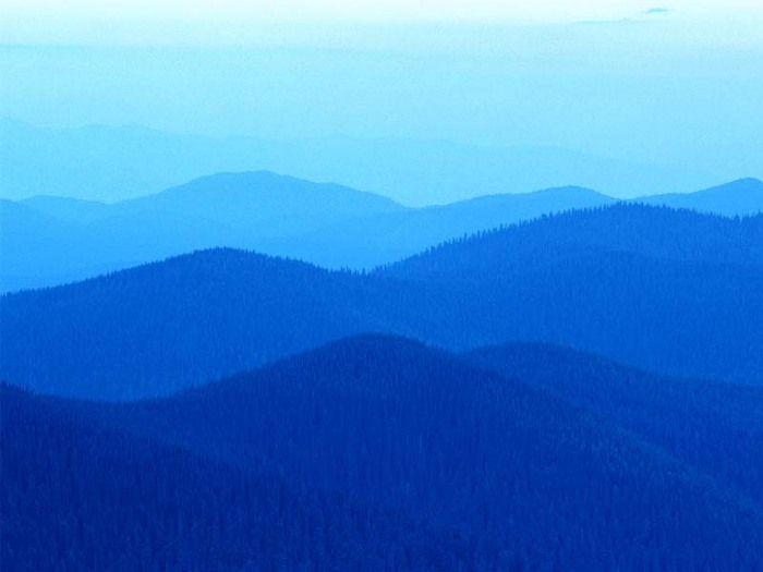  (700x525, 50Kb)