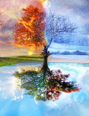  (300x391, 50Kb)