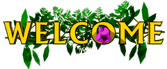  (240x100, 46Kb)