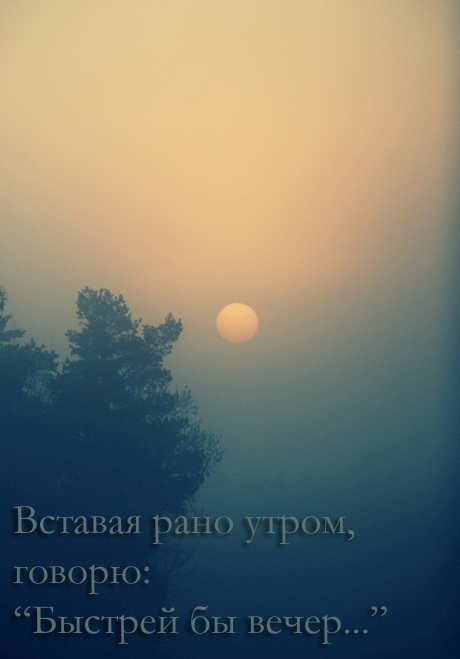  (460x659, 128Kb)