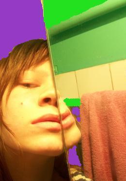  (260x373, 24Kb)