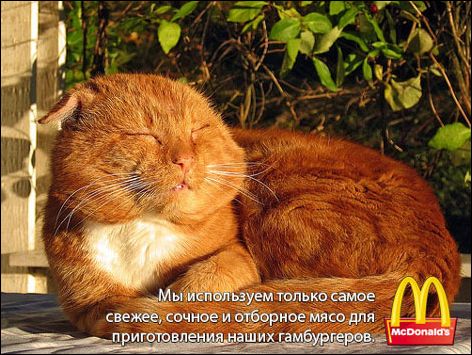  (472x355, 55Kb)