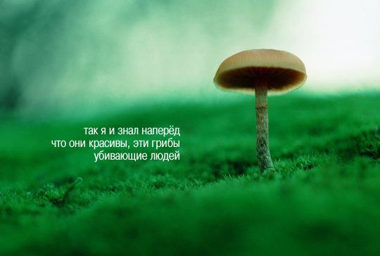  (540x364, 36Kb)