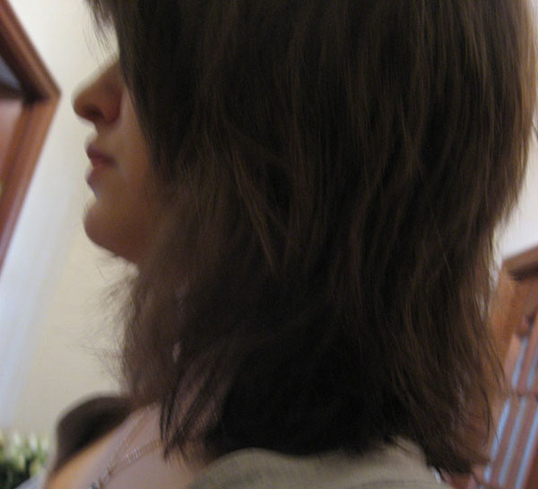  (600x545, 62Kb)