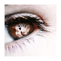  (120x120, 15Kb)