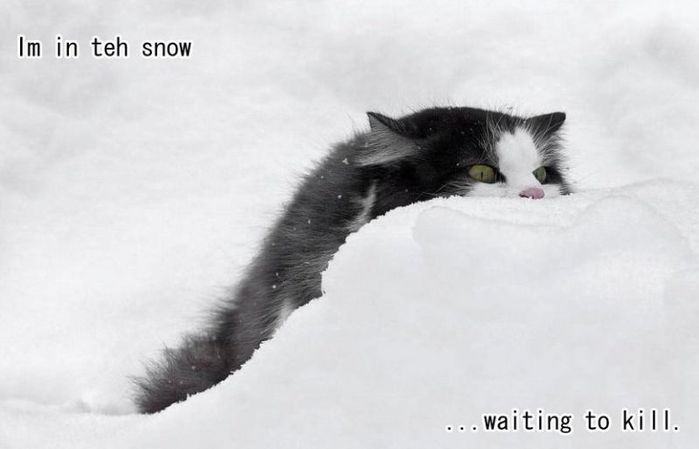  (699x449, 25Kb)