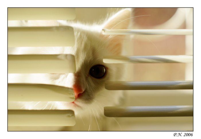 (700x486, 31Kb)