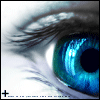  (100x100, 14Kb)